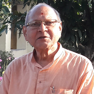 swami mrigananda