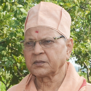 swami mrigananda